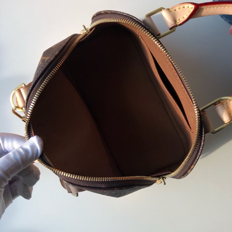 LV Satchel bags